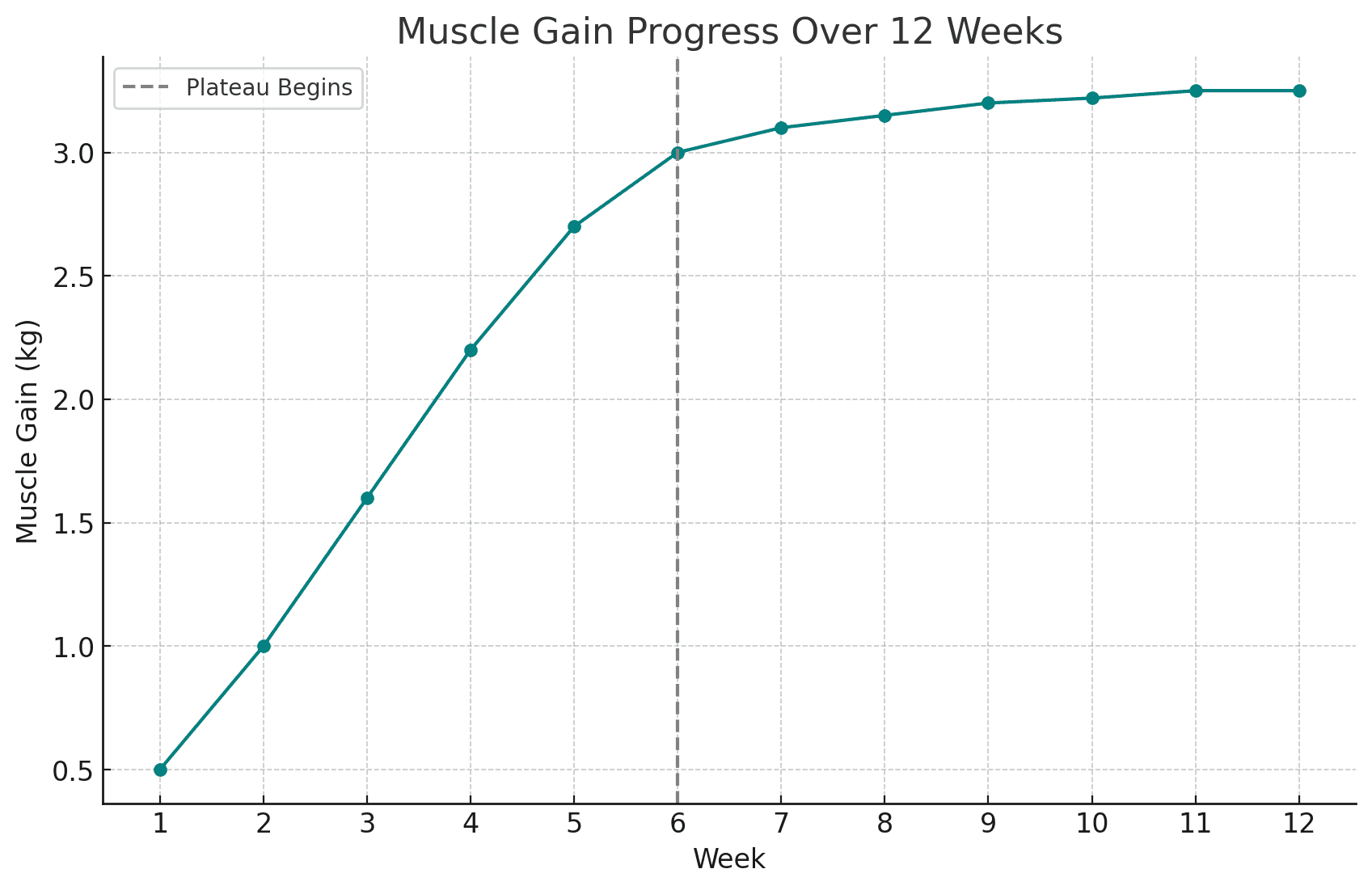 simple chart/graph showing plateau in muscle gain or weight loss